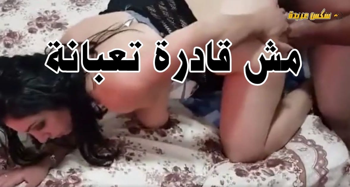 سكس مصري مسرب شرموطة كبيرة خبرة فى النيك القوي