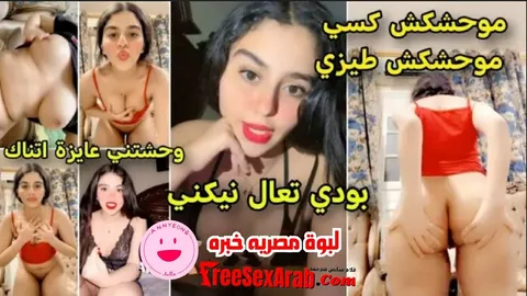 سكس مصري – لبوة مصريه خبره هايجة تعرض طِيزها وتقول لحبيبها موحشكش كسي وطيزي جسمها لبن – xnxx – xnxx egyptian – سكس عربى – فيديو سكس مصرى – arab sex – سكس العرب – نيك مصرى – كس العرب – عرب اكس