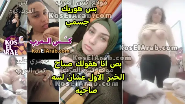 سكس حريم شراميط – متناكة قمر لسه صاحية من النوم بتعرض لحبيبها كسها وتهز بزازها