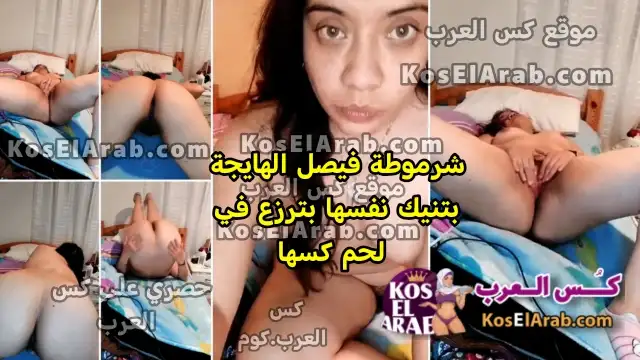 فيديو سكس جامد شرموطة فيصل الهايجة بتنيك نفسها وبترزع في لحم كسها المشعر المتناكة قمر